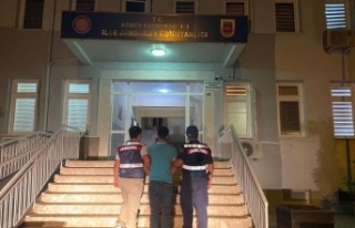 Antalya’da telefon faresi jandarmadan kaçamadı