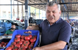 Antalyalı çiftçilerin domatese talebi yüzde 30...