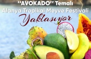 Avokado temalı Tropikal Meyve Festivali yaklaşıyor