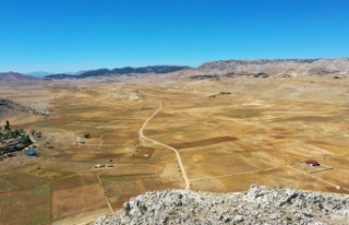 Belediye Cimbiti Nohutu hasadını tamamladı