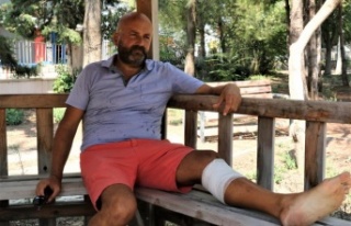 Çalınan köpeğini kurtarmak isterken bıçaklanıp...