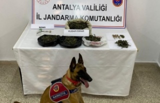 Gazipaşa'da eve yapılan baskında 1 kilogram...