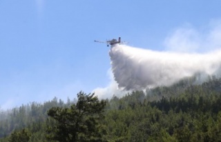 İşte Alanya yangınında son durum
