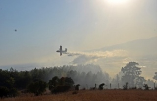 Kumluca'daki orman yangını kontrol altına...