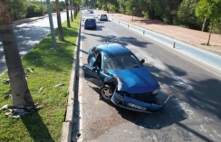 Palmiyeye çarpan otomobildeki 2 kişi yaralandı