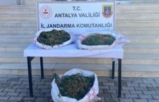 Sazlık alana gizlenen çuvaldan uyuşturucu çıktı