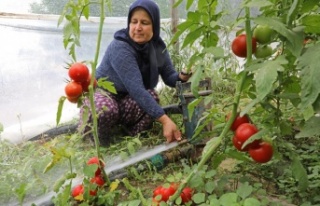 Toprakları suya kavuşan Manavgatlı çiftçinin...