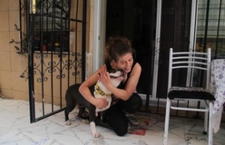 Uyutulmak istenen köpeğe kıyamadı, komşusuyla...