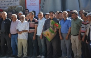 200 çiftçiye 50 ton sertifikalı buğday tohumu...