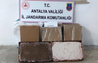 Alanya'da bir yolcu otobüsünde 36 bin adet...