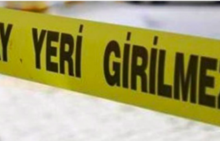 Alanya’da zeytin ağacından düşen adam öldü