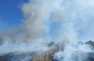 Antalya'da anız yangını itfaiye ekiplerine...