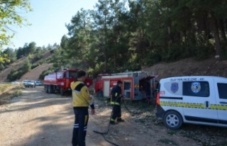 Antalya'da orman yangını büyümeden söndürüldü