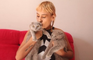 Dekolteli kedi hırsızlarına verilen ceza, ev sahibini...