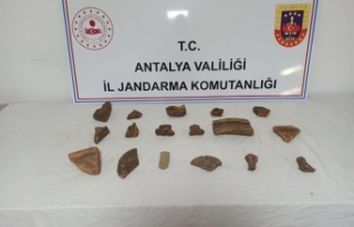 Jandarmadan kaçak kazıya suçüstü: 2 gözaltı