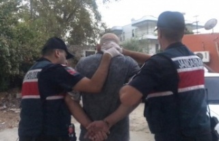 Alanya'da 'Beyaz Kelebek' operasyonu:...