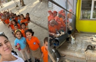 Mahmutlar İlkokulu öğrencileri hayvan barınağını...