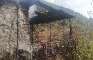 Patlayan tüp yangına sebep oldu, ev kullanılamaz...