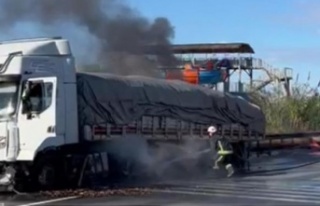 Alanya'da bariyere çarpan talaş yüklü tır...