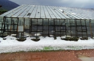 Antalya'da dolu, portakal bahçelerine ve seralara...