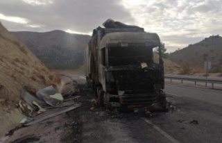 Antalya'da muz yüklü tır alev alev yandı