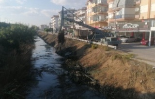 Balık ölümleriyle gündeme gelen kanal temizleniyor