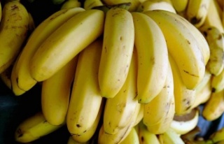 Başkan Kaya’dan muz fiyatına tepki