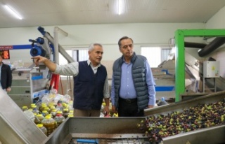 Başkan Yılmaz zeytinyağı fabrikalarını ziyaret...