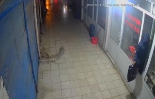 Dükkana pencereden giren hırsız, poşet dolusu...