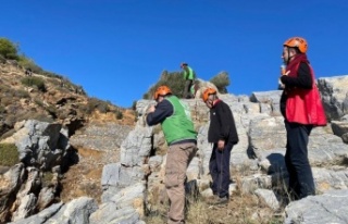 Gazipaşa'da 21 yaşındaki kayıp Sedanur'u...