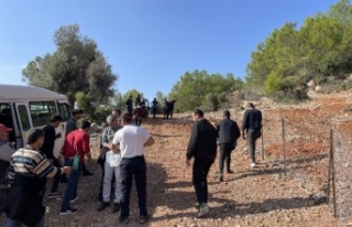 Gazipaşa'da 6 gündür kayıp olan Sedanur için...