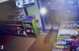 Gazipaşa'da karnı acıkan tilki markete girip...