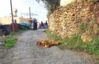 Alanya'da duvardan düşüp hayatını kaybetti