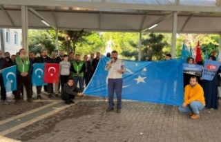 Alanya’dan insani sesleniş