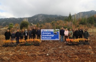 Antalya ile İzmit’in “Aronya” kardeşliği