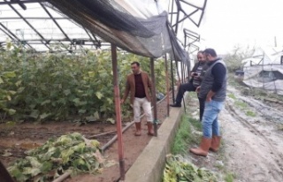 Başkan Göktepe yağışta zarar gören seraları...