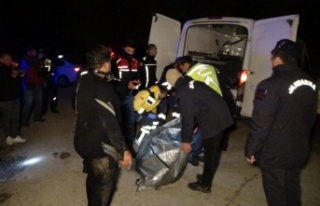 Çaya uçan hafif ticari aracın sürücüsünün...