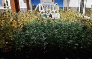 Kiralık evde uyuşturucu laboratuvarına jandarma...