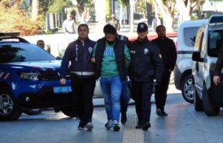 Kucağına aldığı yavru köpeği ısırıp yumruklayan...