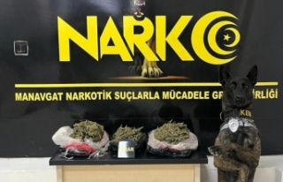 Narkotik köpek Pars’tan uyuşturucuya geçit yok