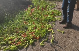 Pestisit denetimlerinde 12 kişiye 49 bin TL ceza