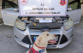 Şehirlerarası uyuşturucu trafiğine jandarma operasyonu