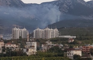 Alanya'da korkutan orman yangını