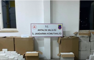 Alanya’da 168 bin adet kaçak makaron ele geçirildi