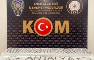 Antalya'da bin 140 adet tarihi eser niteliğinde...