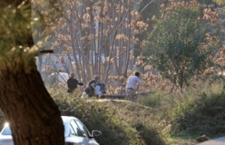 Antalya'da ormanlık alanda kafası ve kolları...