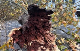 Antalya’da şiddetli yağmur yolları göle çevirdi