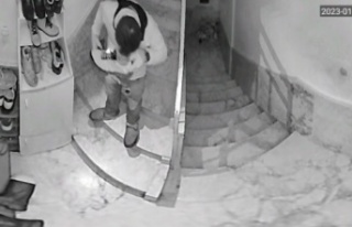 Ayakkabıları önce numarasına bakıp sonra koklayarak...