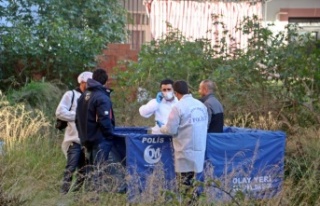 Çalılık alanda elinde kuş tüyü bulunan kadının...