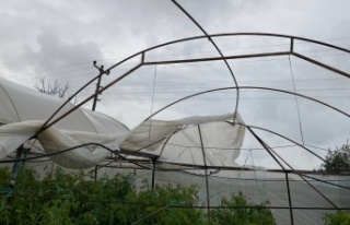 Hortum domates ve çilek seralarını parçaladı